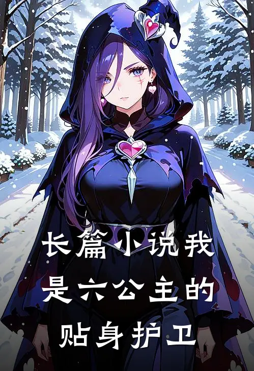 长篇小说我是六公主的贴身护卫