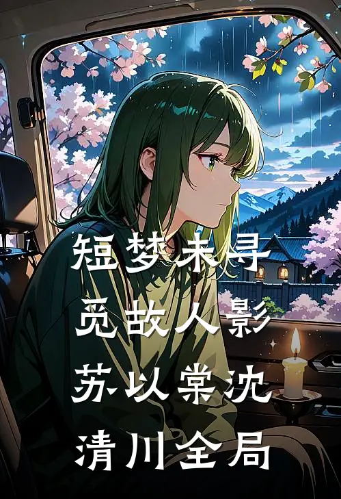 短梦未寻觅故人影苏以棠沈清川全局