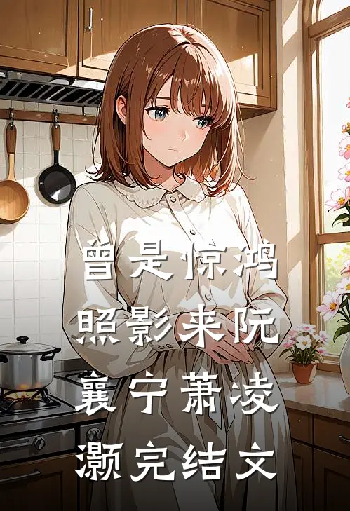 曾是惊鸿照影来阮襄宁萧凌灏完结文