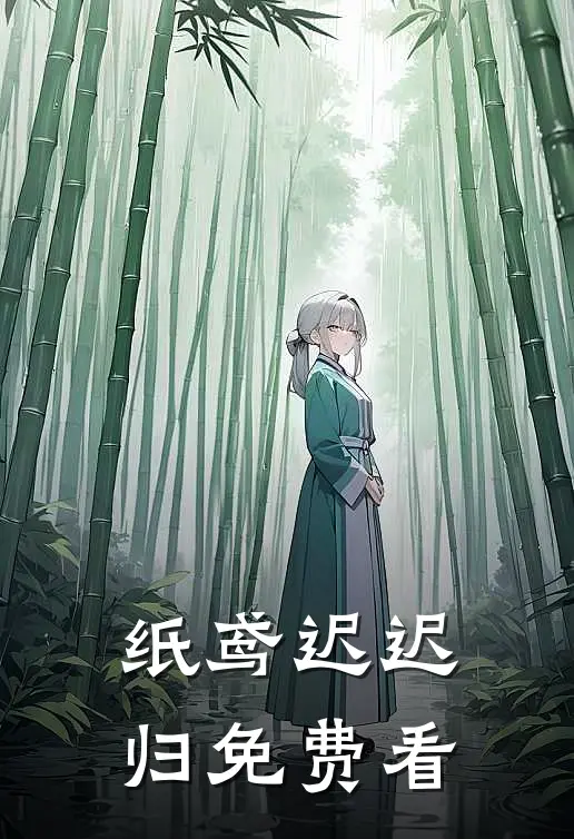 纸鸢迟迟归免费看