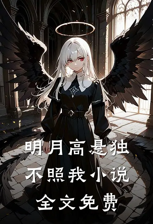 明月高悬独不照我小说全文免费