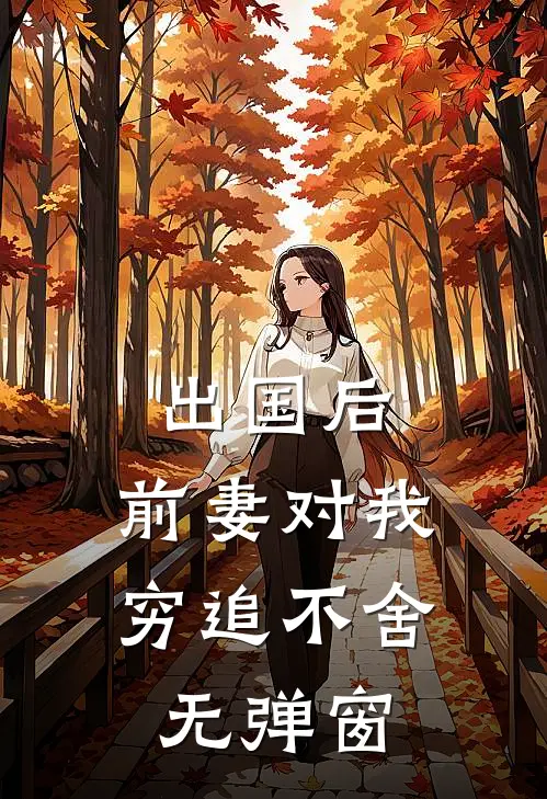 出国后，前妻对我穷追不舍无弹窗