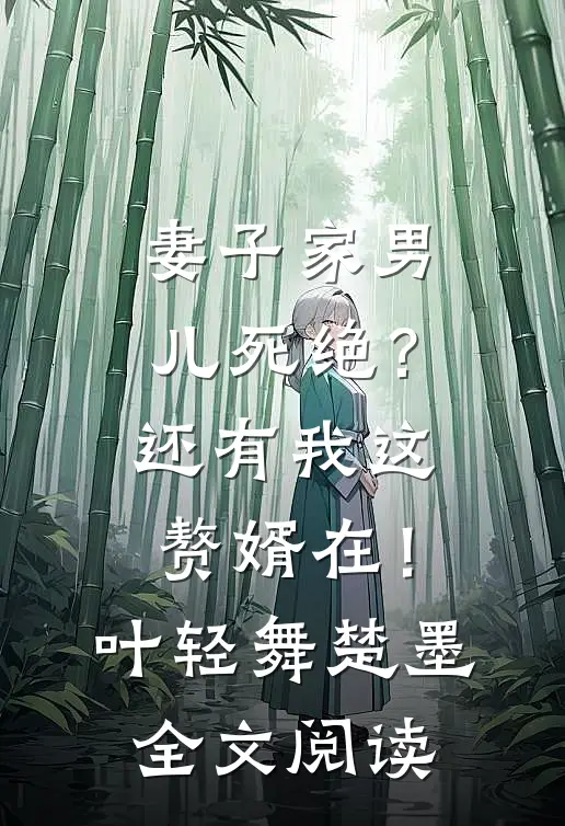 妻子家男儿死绝？还有我这赘婿在！叶轻舞楚墨全文阅读