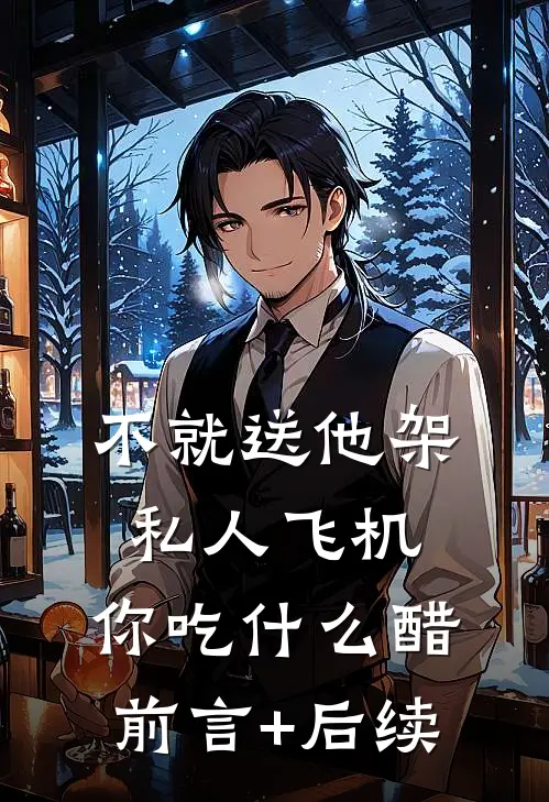 不就送他架私人飞机，你吃什么醋前言+后续
