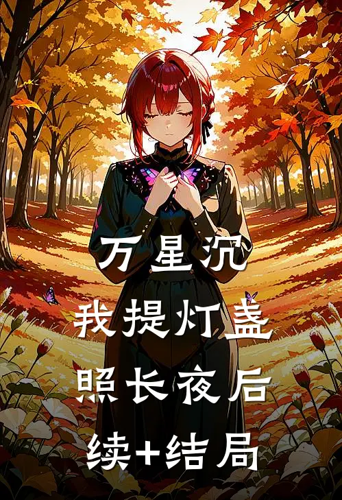 万星沉，我提灯盏照长夜后续+结局