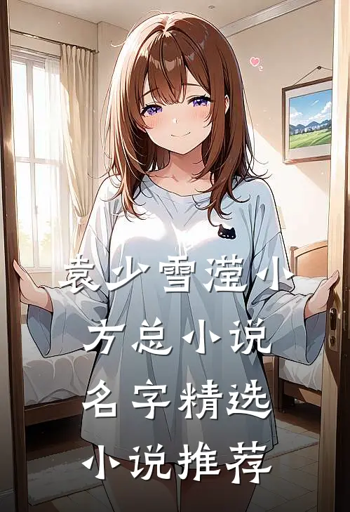 袁少雪滢小方总小说名字精选小说推荐