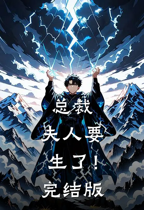 总裁，夫人要生了！完结版