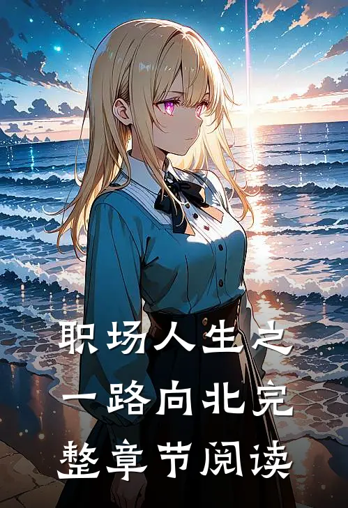 职场人生之一路向北完整章节阅读