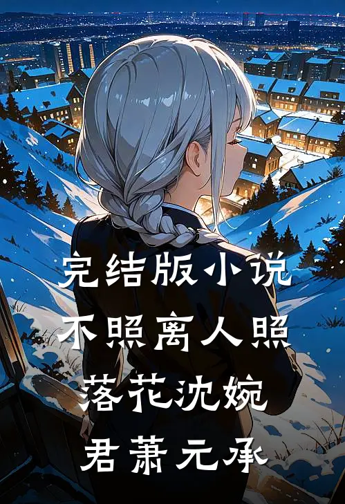 完结版小说不照离人照落花沈婉君萧元承