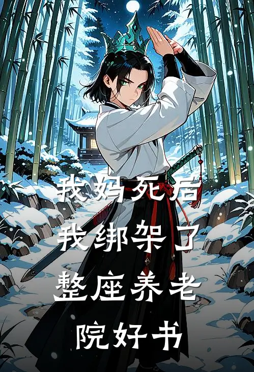 我妈死后，我绑架了整座养老院好书