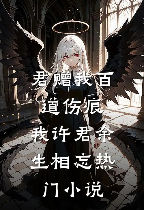君赠我百道伤痕，我许君余生相忘热门小说