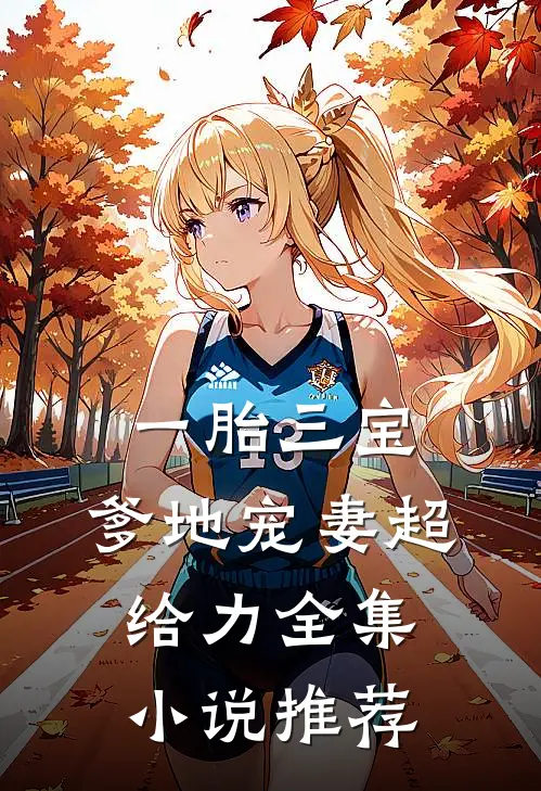 一胎三宝，爹地宠妻超给力全集小说推荐