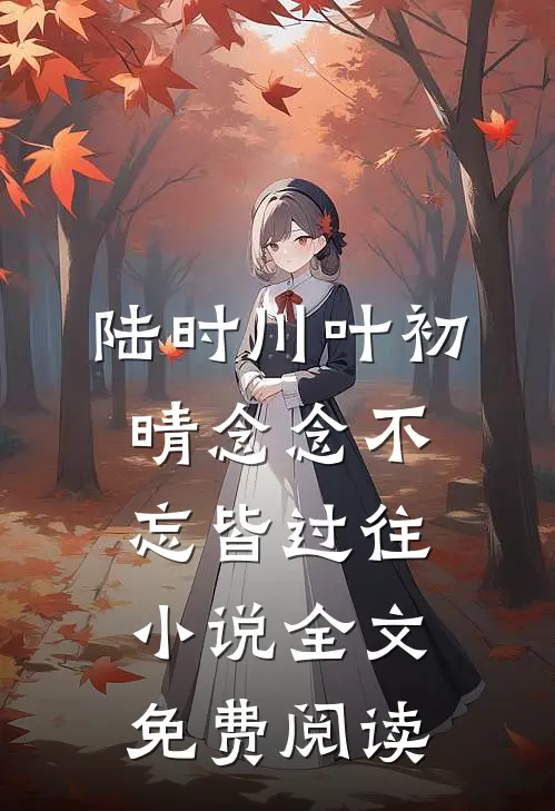 陆时川叶初晴念念不忘皆过往小说全文免费阅读
