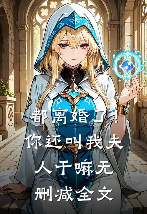 都离婚了！你还叫我夫人干嘛无删减全文