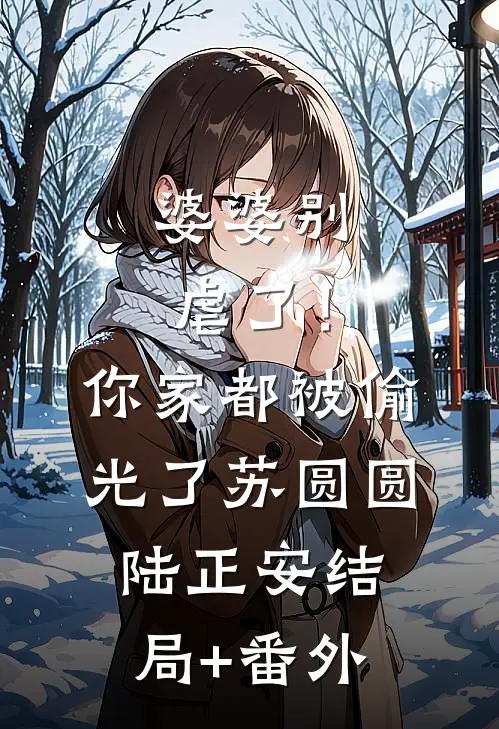 婆婆别虐了！你家都被偷光了苏圆圆陆正安结局+番外