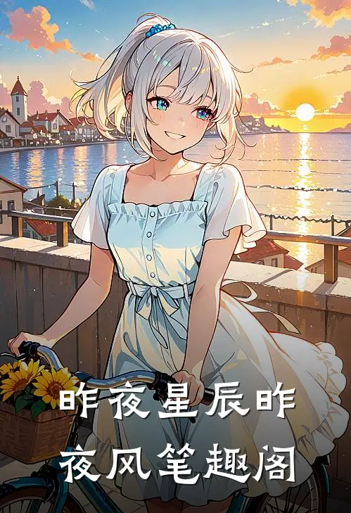 昨夜星辰昨夜风笔趣阁