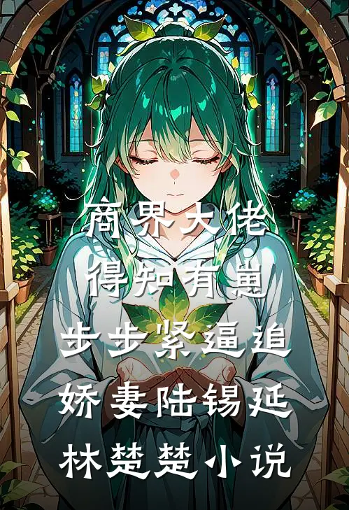 商界大佬得知有崽，步步紧逼追娇妻陆锡延林楚楚小说
