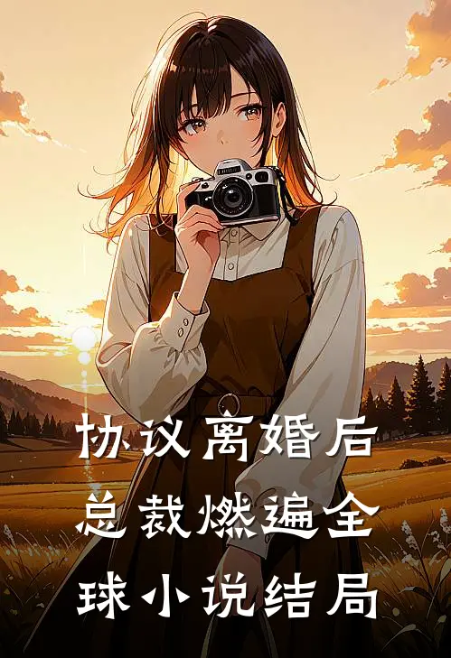 协议离婚后，总裁燃遍全球小说结局