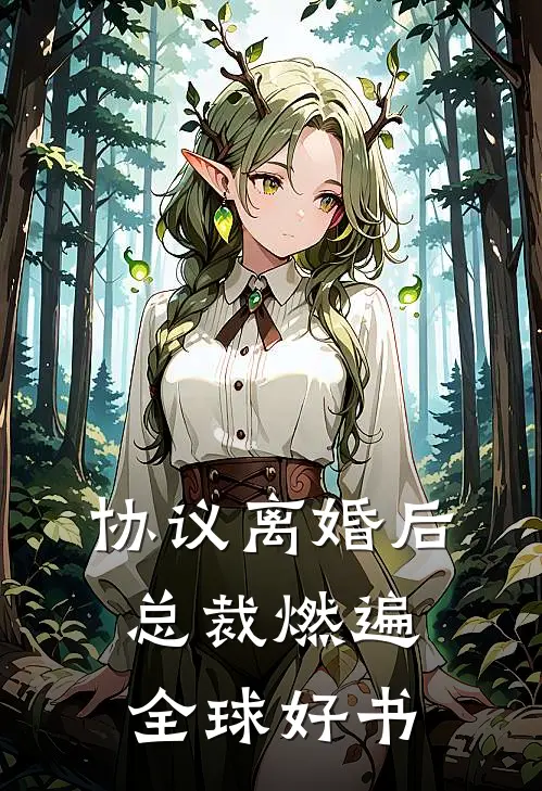 协议离婚后，总裁燃遍全球好书