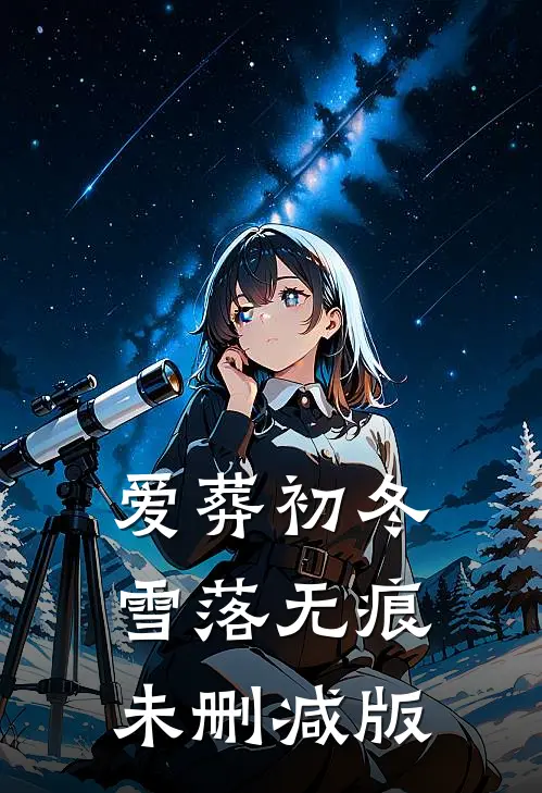 爱葬初冬，雪落无痕未删减版