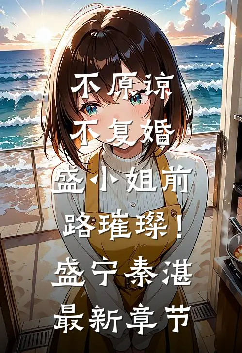 不原谅，不复婚，盛小姐前路璀璨！盛宁秦湛最新章节