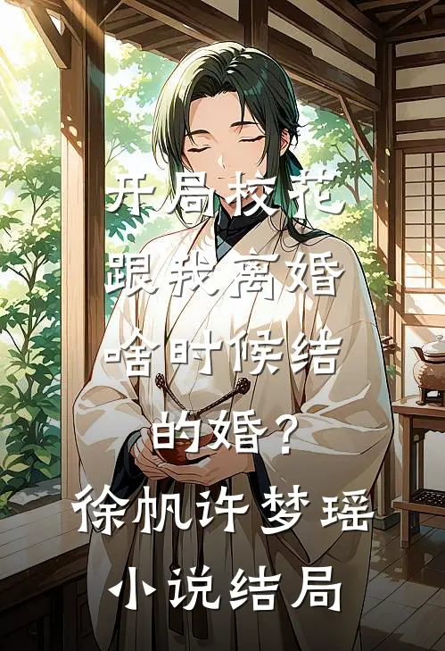 开局校花跟我离婚，啥时候结的婚？徐帆许梦瑶小说结局