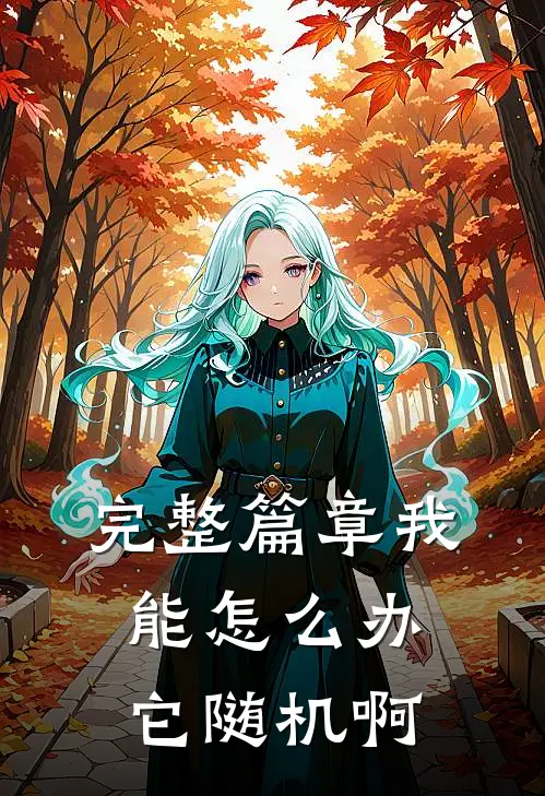 完整篇章我能怎么办，它随机啊