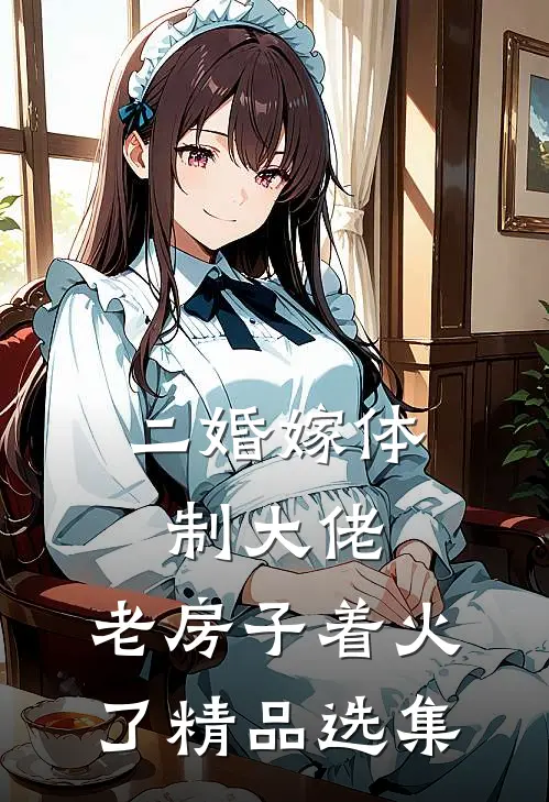 二婚嫁体制大佬，老房子着火了精品选集