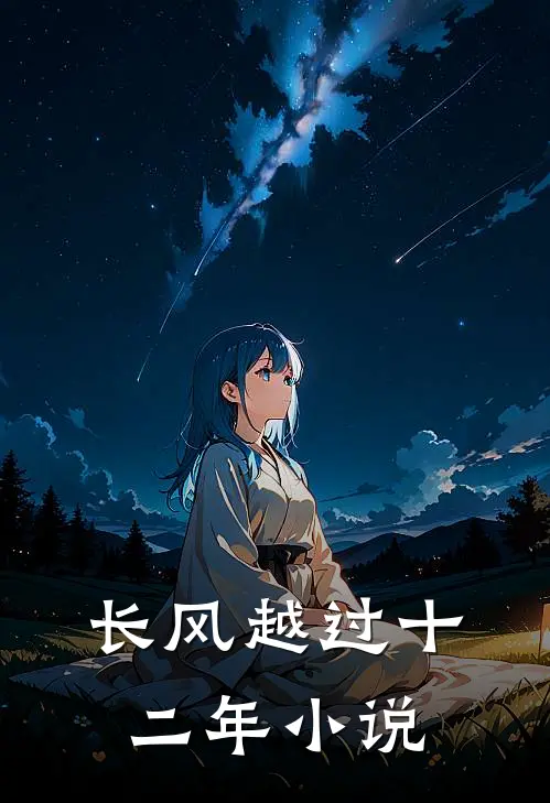 长风越过十二年小说