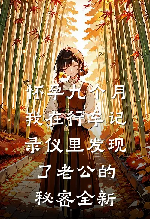 怀孕九个月，我在行车记录仪里发现了老公的秘密全新
