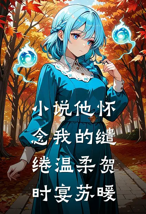 小说他怀念我的缱绻温柔(贺时宴苏暖)
