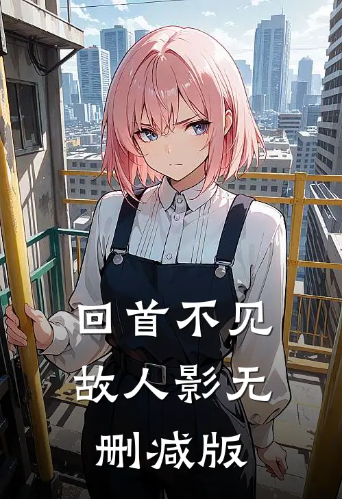 回首不见故人影无删减版