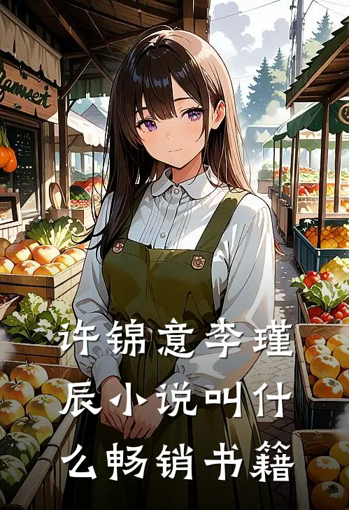 许锦意李瑾辰小说叫什么畅销书籍