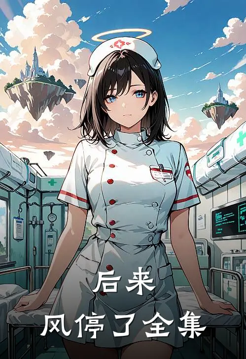 后来，风停了全集
