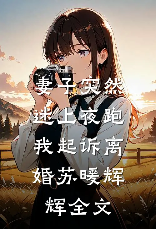妻子突然迷上夜跑，我起诉离婚苏暖辉辉全文