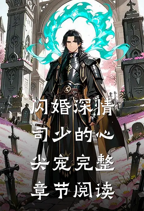闪婚深情，司少的心尖宠完整章节阅读