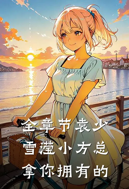 全章节袁少雪滢小方总拿你拥有的