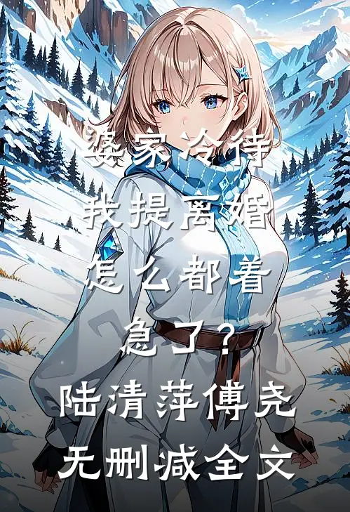 婆家冷待，我提离婚怎么都着急了？陆清萍傅尧无删减全文