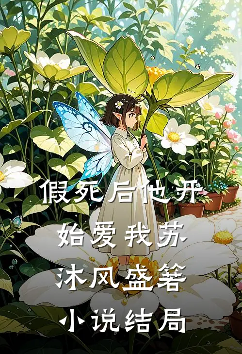 假死后他开始爱我苏沐风盛箬小说结局