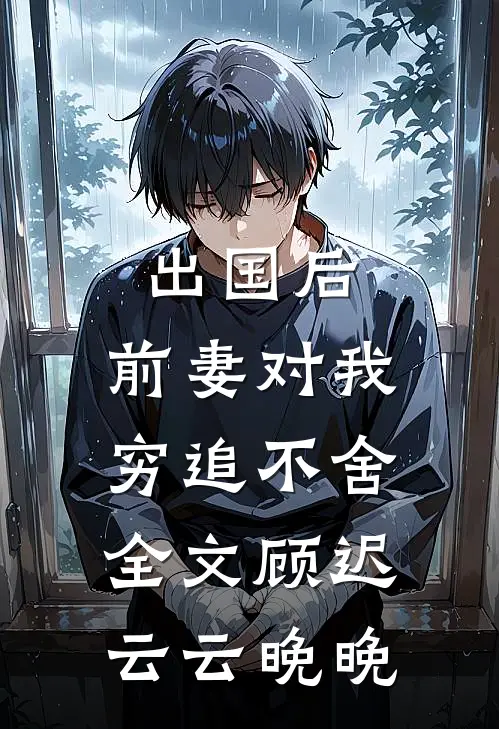 出国后，前妻对我穷追不舍全文顾迟云云晚晚