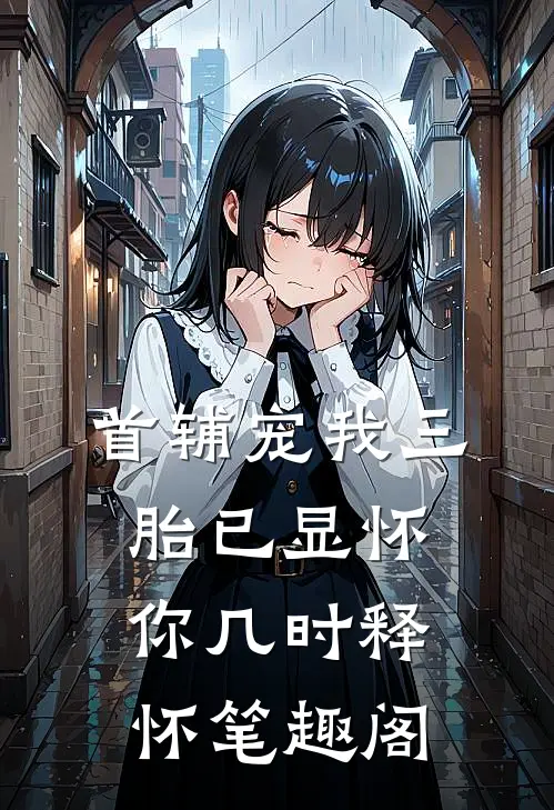 首辅宠我三胎已显怀，你几时释怀笔趣阁