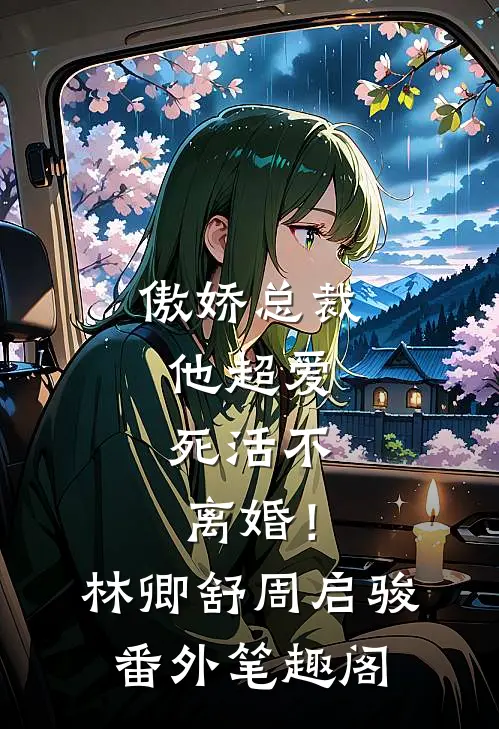 傲娇总裁他超爱，死活不离婚！：林卿舒周启骏番外笔趣阁