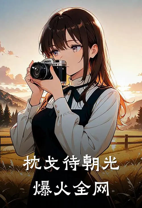枕戈待朝光爆火全网