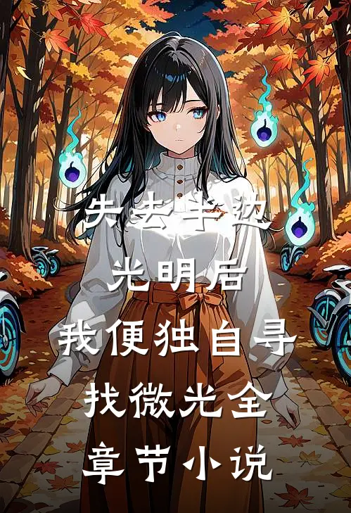 失去半边光明后，我便独自寻找微光全章节小说