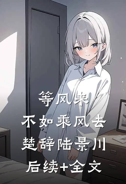 等风来，不如乘风去楚辞陆景川后续+全文