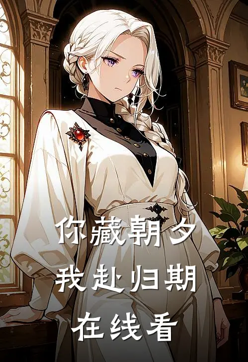 你藏朝夕，我赴归期在线看