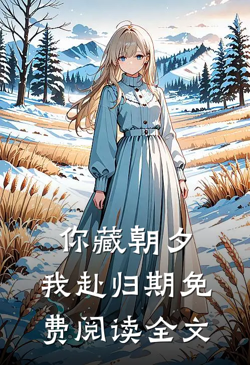 你藏朝夕，我赴归期免费阅读全文