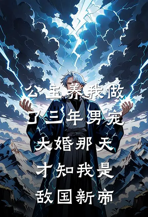 公主养我做了三年男宠，大婚那天才知我是敌国新帝
