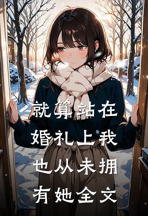 就算站在婚礼上我也从未拥有她全文