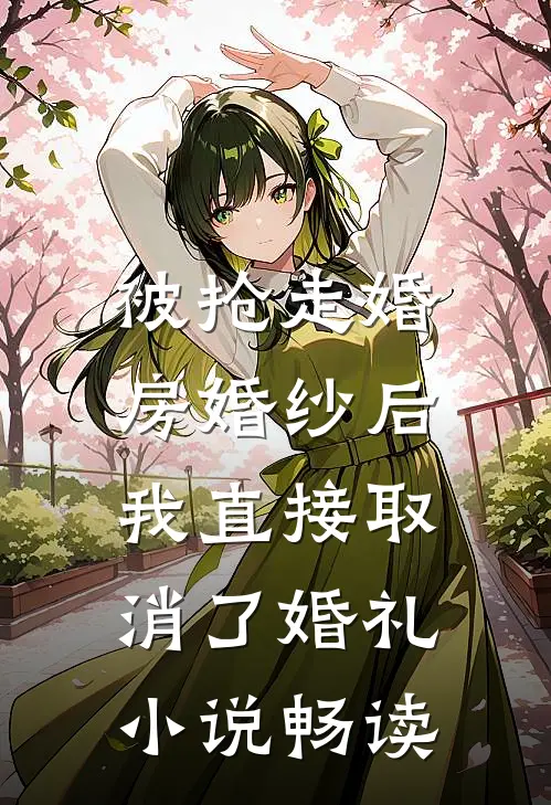 被抢走婚房婚纱后，我直接取消了婚礼小说畅读